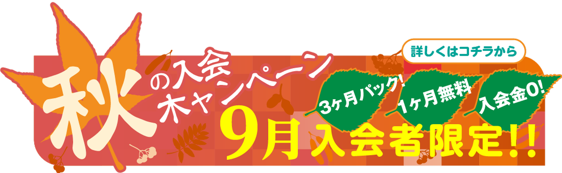 秋の入会 木ャンペーン 3ヶ月パック! 1ヶ月無料 入会金0! 9月入会者限定!! 詳しくはコチラから